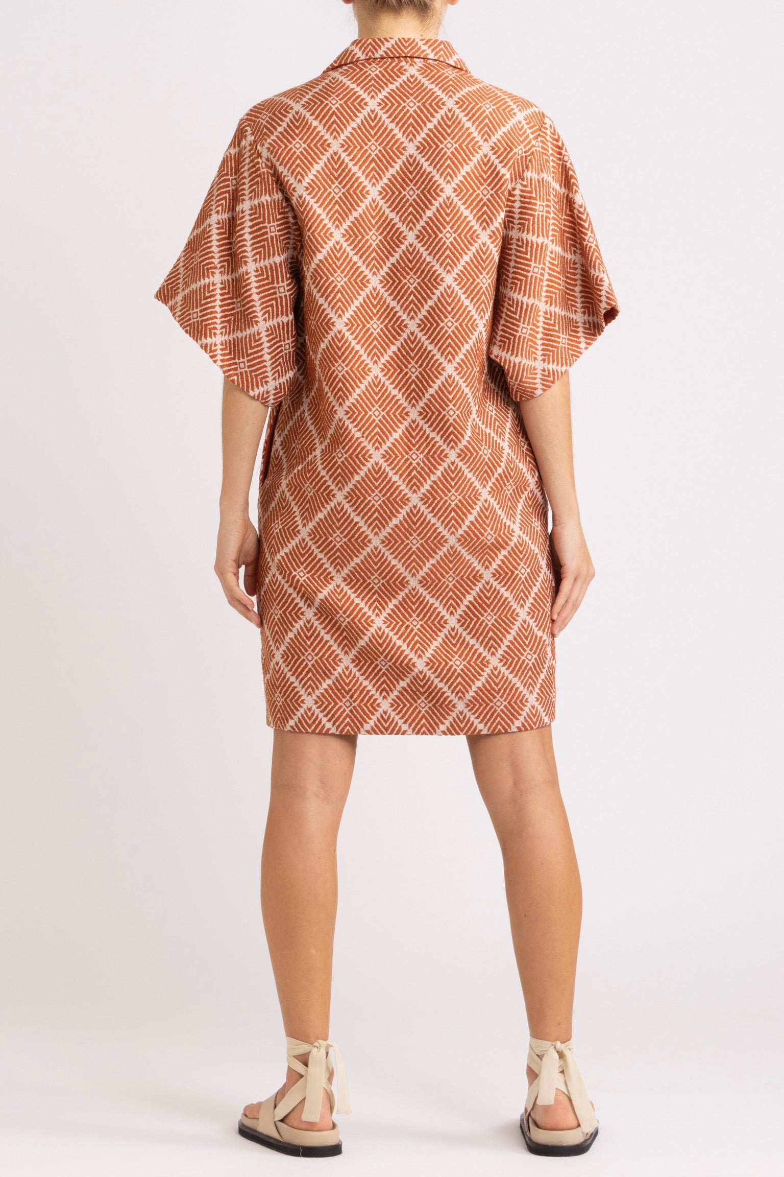 Tallulah Shirt Dress